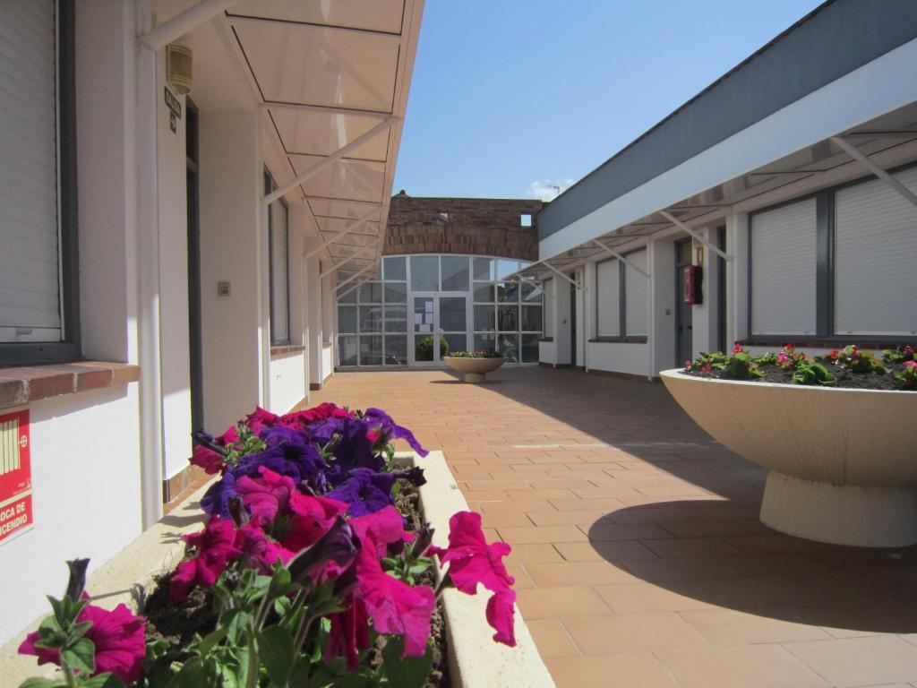 Apartamentos Elena 라레도 외부 사진